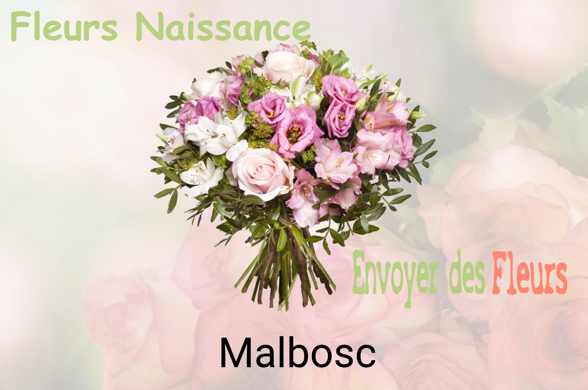 Bouquet de fleurs de naissance livré à Malbosc